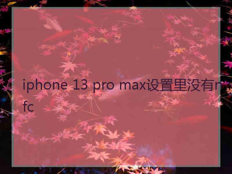 iphone 13 pro max设置里没有nfc