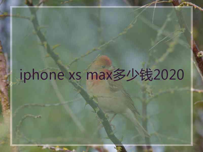 iphone xs max多少钱2020