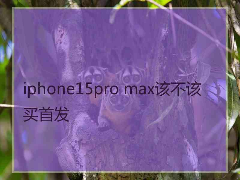 iphone15pro max该不该买首发