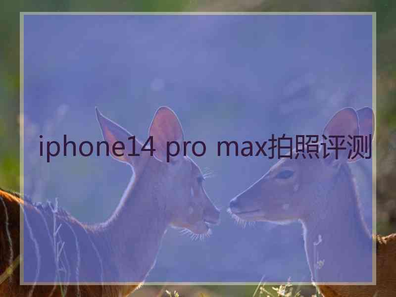 iphone14 pro max拍照评测