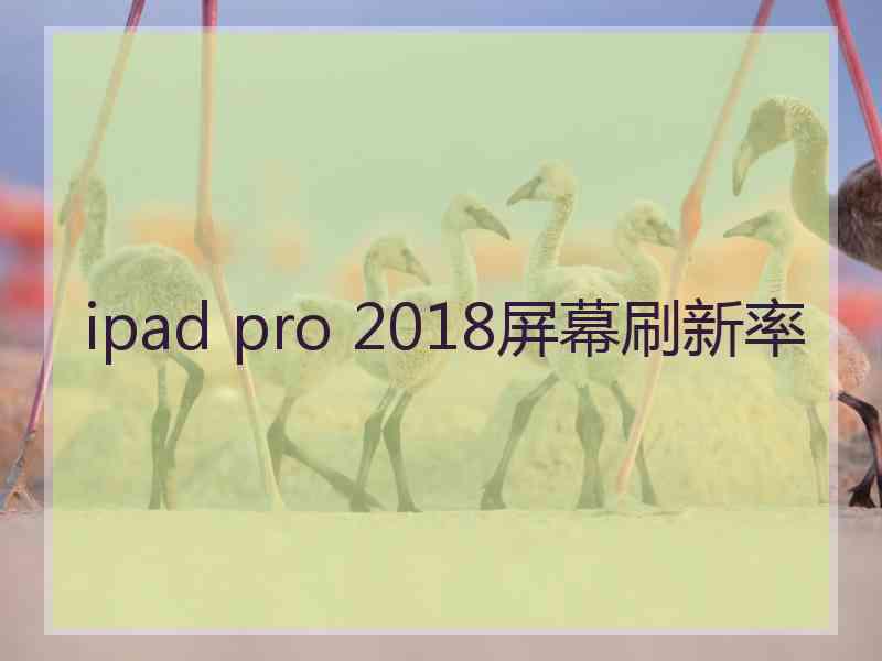 ipad pro 2018屏幕刷新率