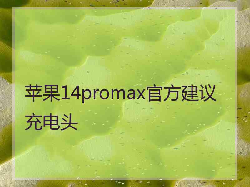 苹果14promax官方建议充电头