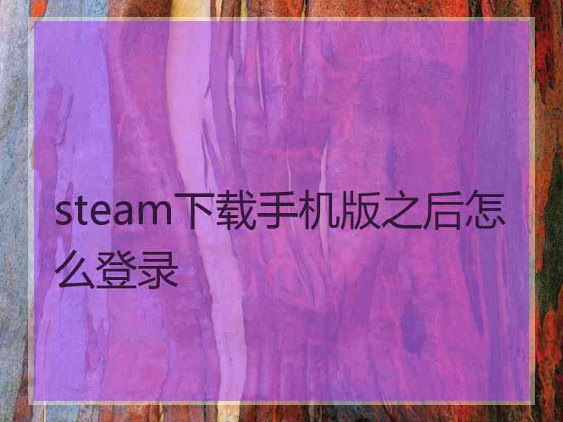 steam下载手机版之后怎么登录