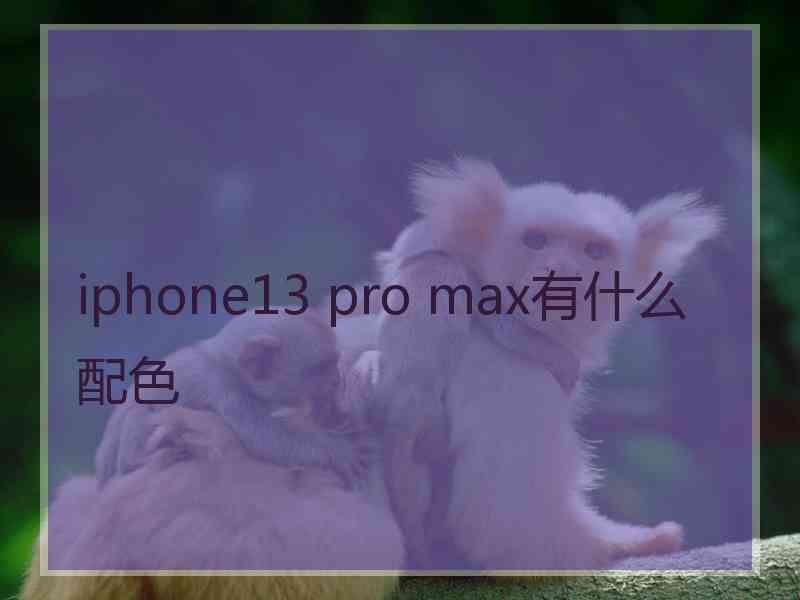 iphone13 pro max有什么配色