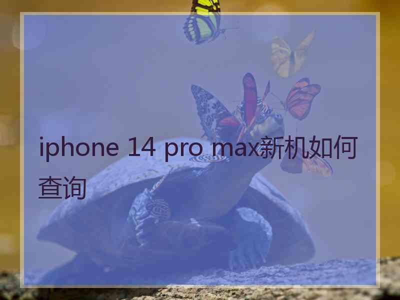 iphone 14 pro max新机如何查询