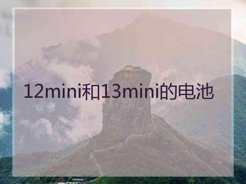 12mini和13mini的电池