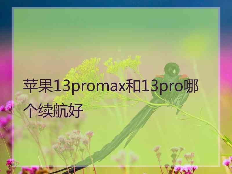 苹果13promax和13pro哪个续航好