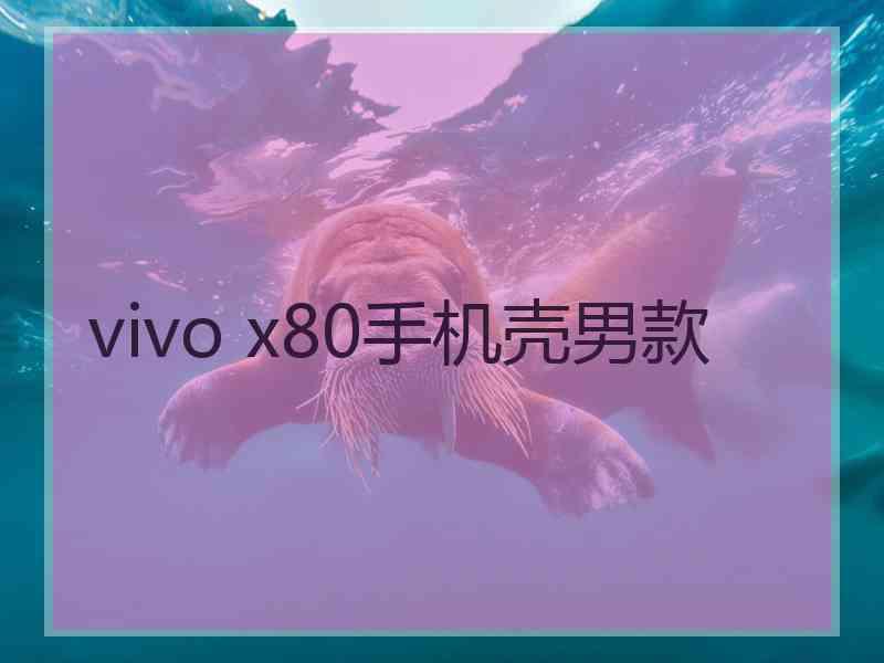 vivo x80手机壳男款