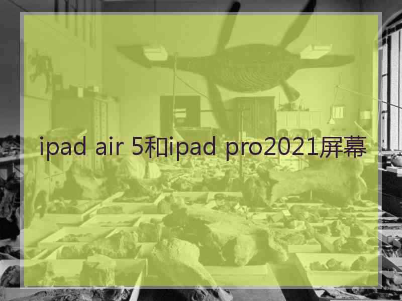 ipad air 5和ipad pro2021屏幕