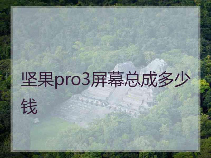 坚果pro3屏幕总成多少钱