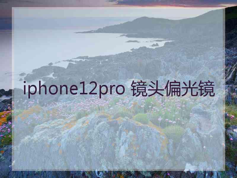 iphone12pro 镜头偏光镜