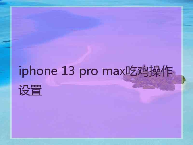 iphone 13 pro max吃鸡操作设置