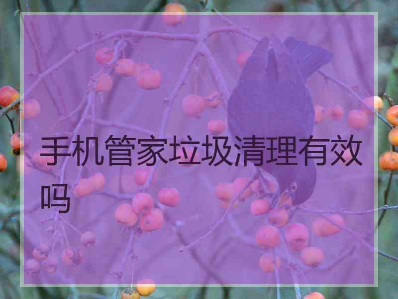 手机管家垃圾清理有效吗