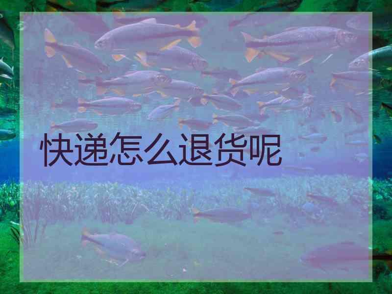 快递怎么退货呢