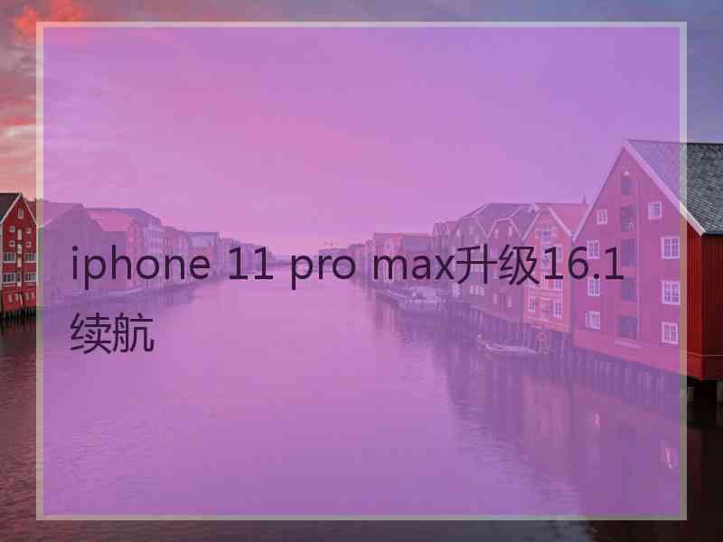 iphone 11 pro max升级16.1续航