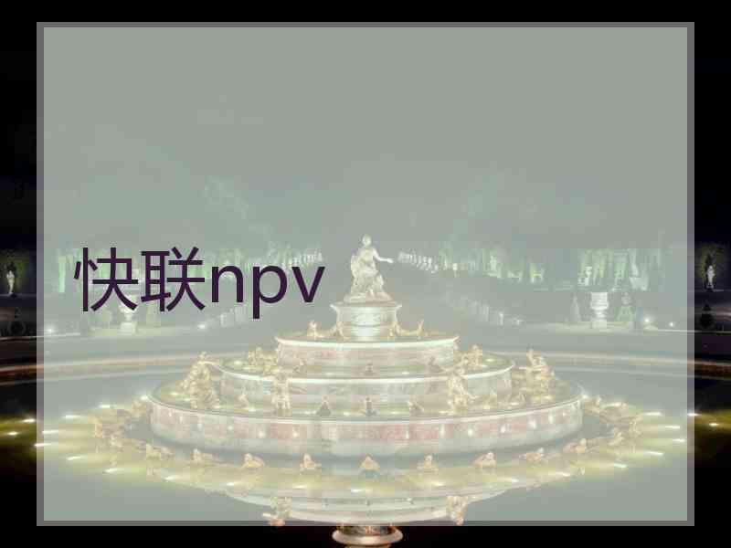 快联npv