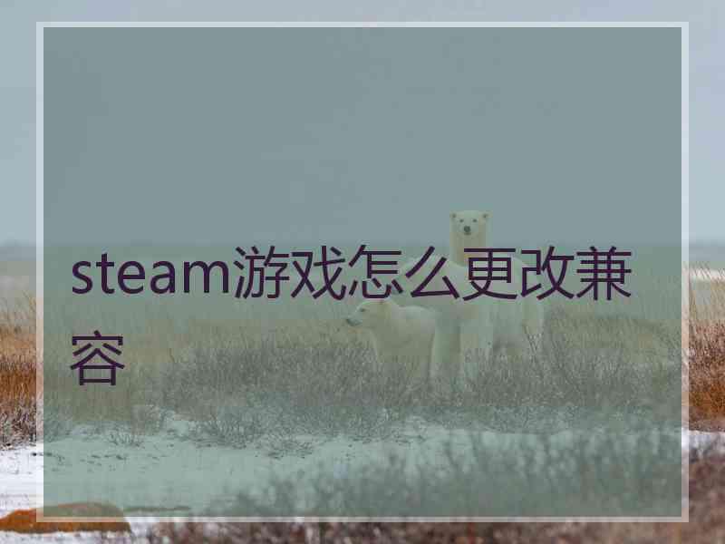 steam游戏怎么更改兼容