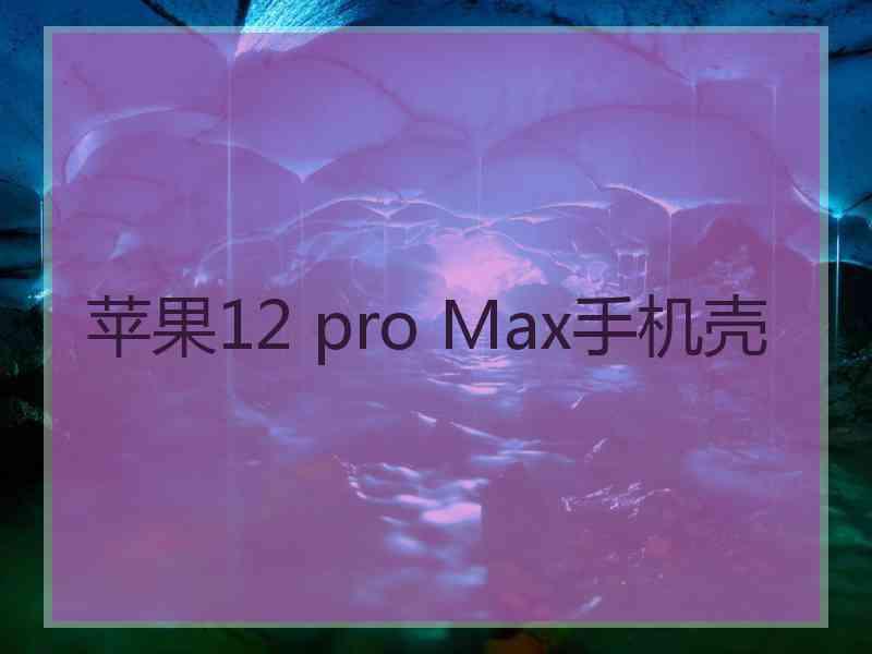 苹果12 pro Max手机壳