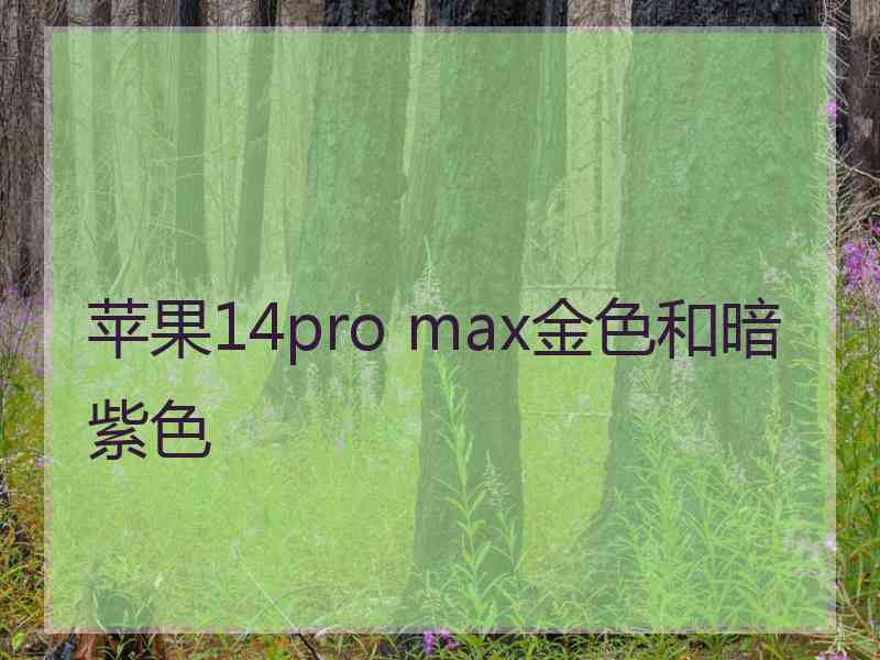 苹果14pro max金色和暗紫色