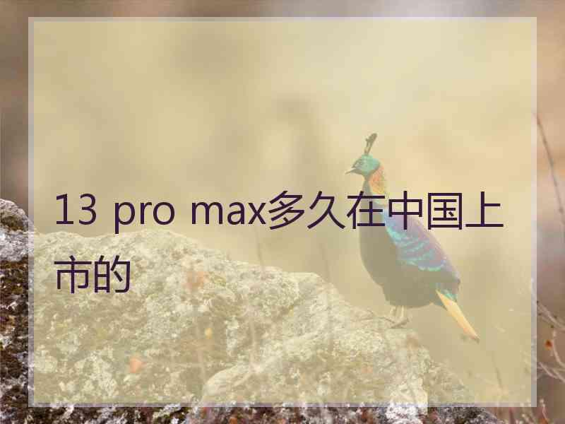 13 pro max多久在中国上市的