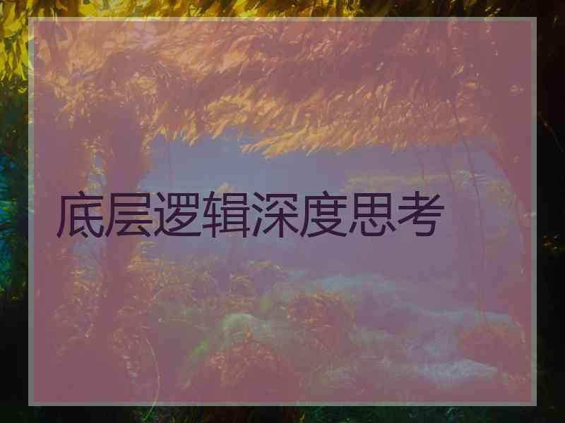 底层逻辑深度思考