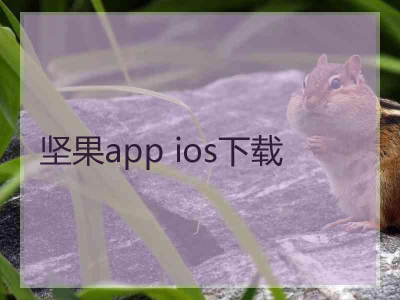 坚果app ios下载