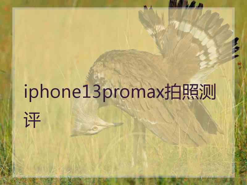 iphone13promax拍照测评