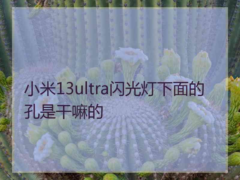 小米13ultra闪光灯下面的孔是干嘛的