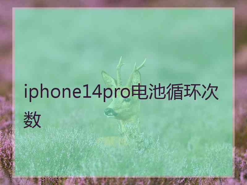 iphone14pro电池循环次数