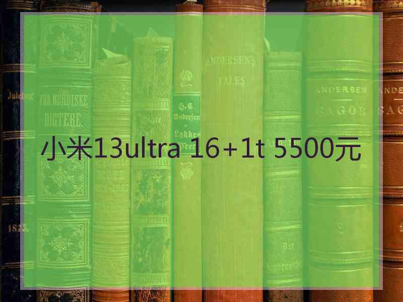 小米13ultra 16+1t 5500元