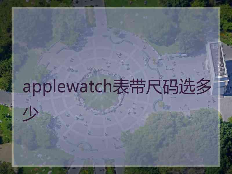 applewatch表带尺码选多少