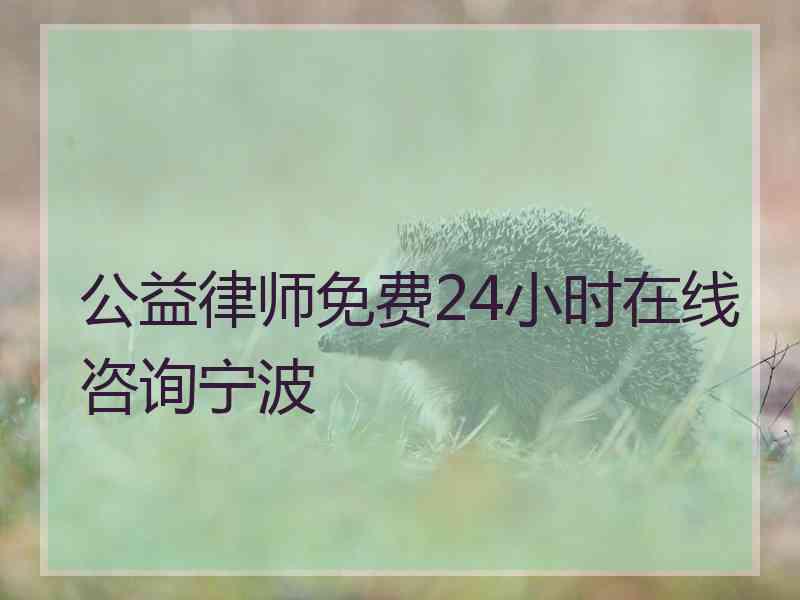 公益律师免费24小时在线咨询宁波