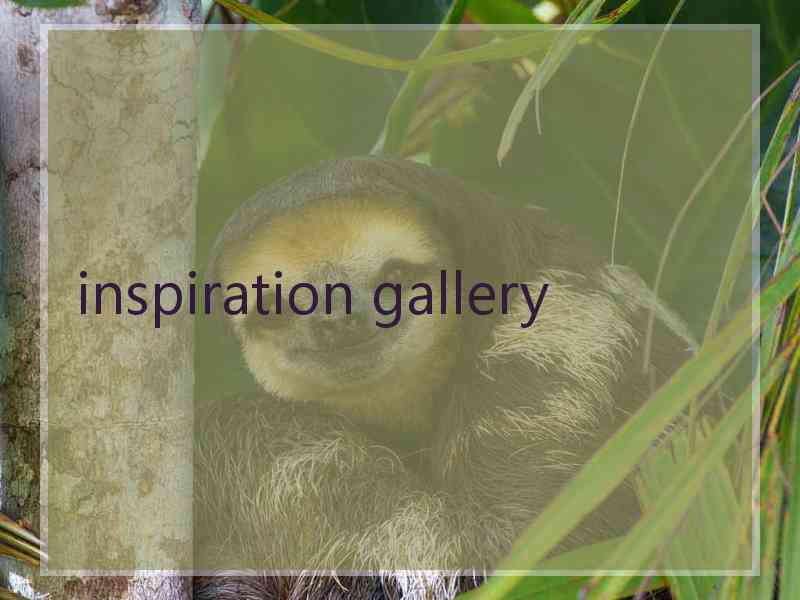 inspiration gallery