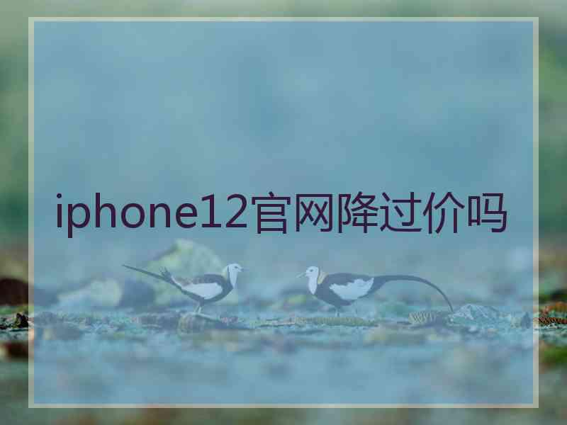 iphone12官网降过价吗