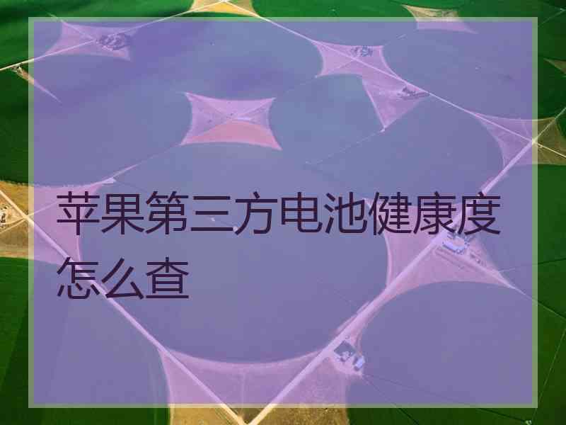 苹果第三方电池健康度怎么查