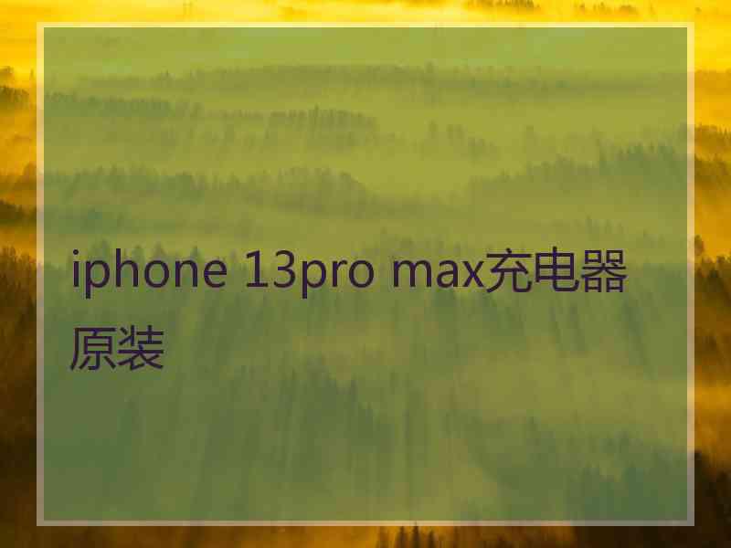 iphone 13pro max充电器原装