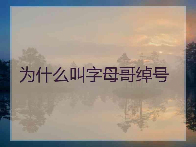 为什么叫字母哥绰号