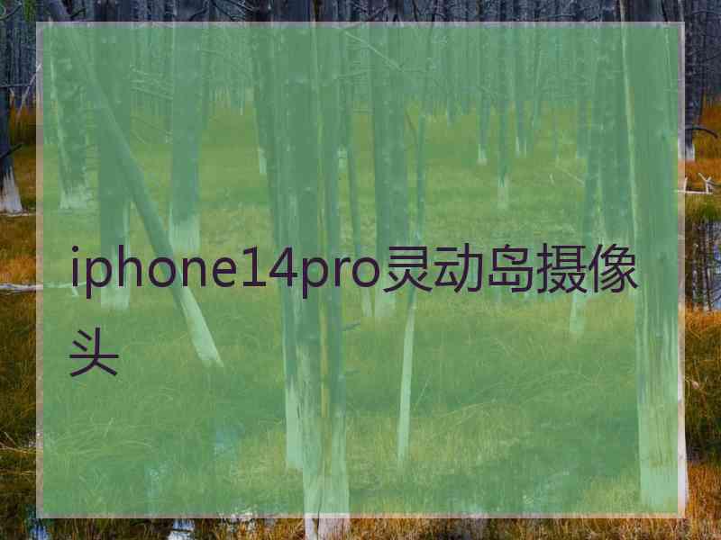 iphone14pro灵动岛摄像头