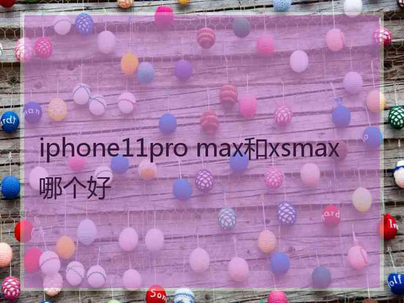 iphone11pro max和xsmax哪个好