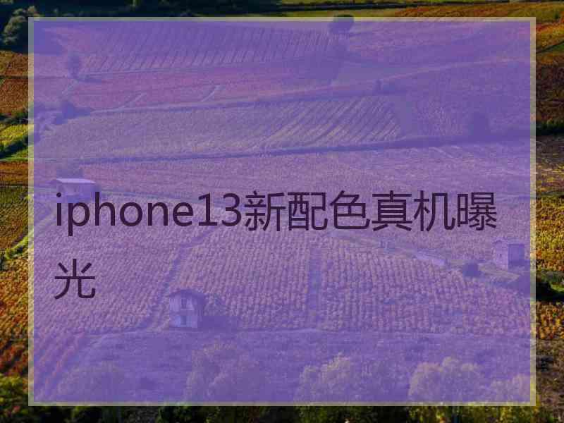 iphone13新配色真机曝光