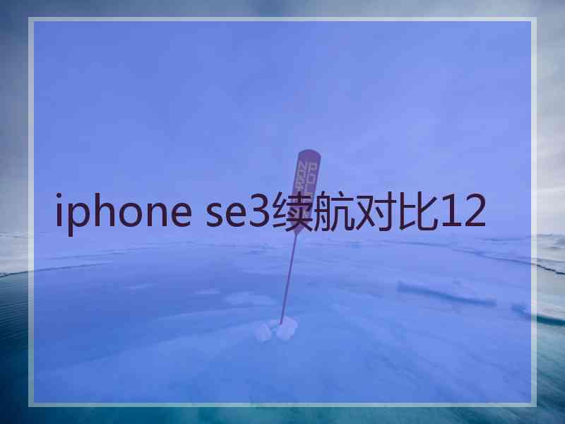 iphone se3续航对比12