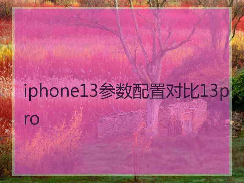 iphone13参数配置对比13pro