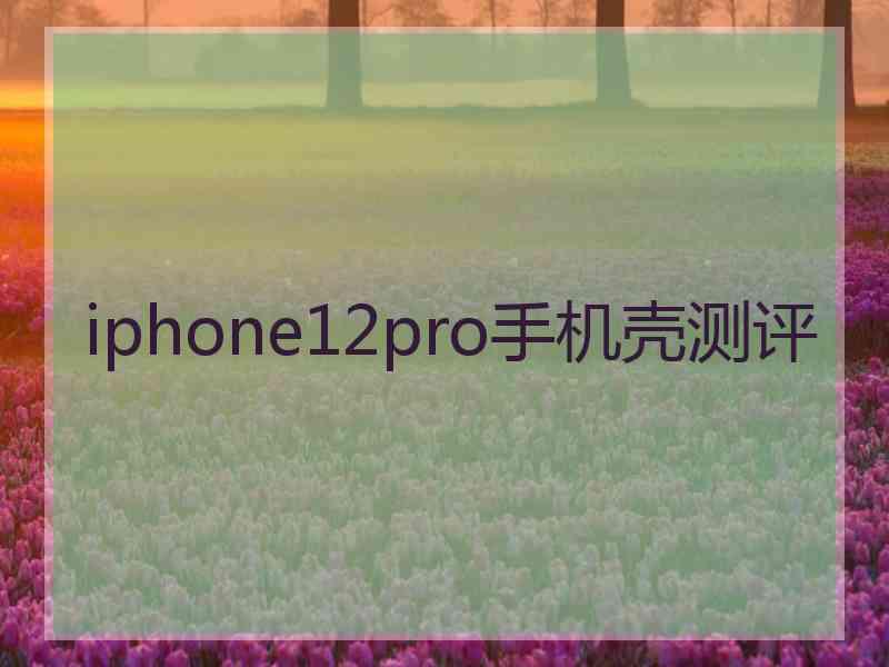 iphone12pro手机壳测评