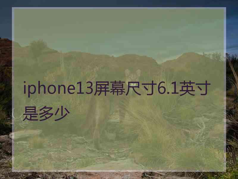 iphone13屏幕尺寸6.1英寸是多少