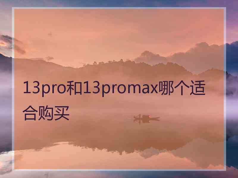 13pro和13promax哪个适合购买