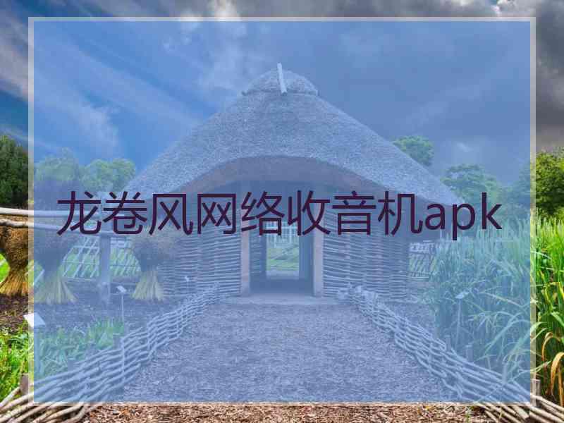 龙卷风网络收音机apk