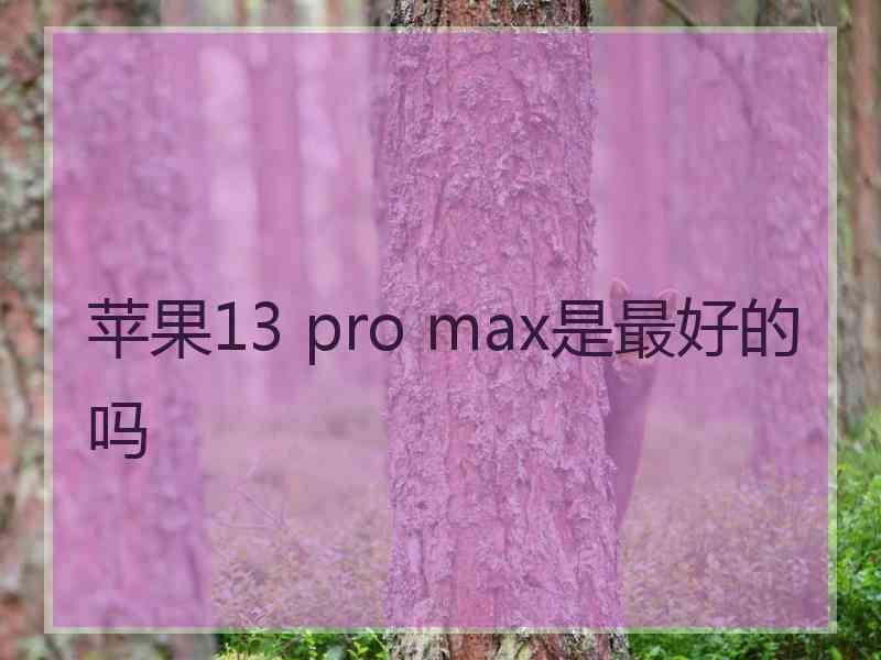 苹果13 pro max是最好的吗