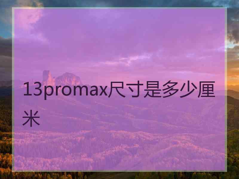 13promax尺寸是多少厘米