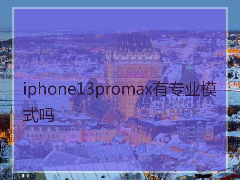 iphone13promax有专业模式吗