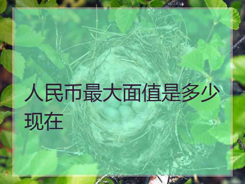 人民币最大面值是多少现在